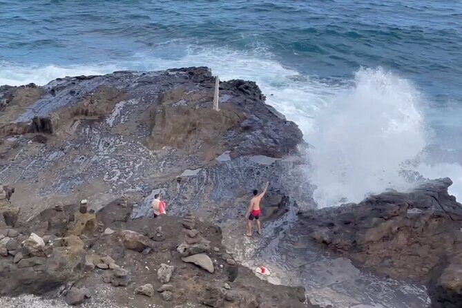 Oahu Guided Circle Island Tour, Swim w/ Turtles, Dole, Blowhole - Who Will Love This Tour?