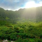 Oahu: Guided Tour of North Shore and Waimea Botanical Garden - The Experience and the Guides