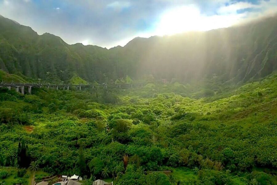 Oahu: Guided Tour of North Shore and Waimea Botanical Garden - The Experience and the Guides
