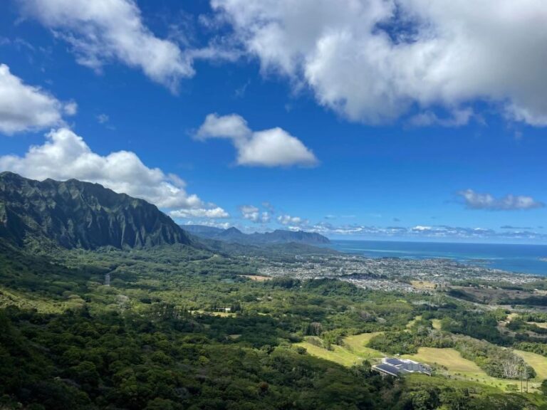 Oahu: Hidden Hawaii Waterfall Hike and Beach Tour - What You Need to Know Before You Go