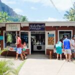 Oahu Highlights Private Tour: Nature, Views & Turtles in 6 Hours - The Experience: What Travelers Can Expect