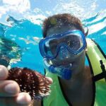 Oahu: Hilton Hawaiian Village Snorkel Tour - Price and Value — Is It Worth It?