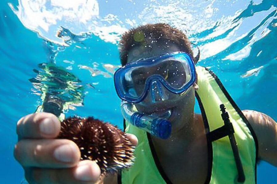 Oahu: Hilton Hawaiian Village Snorkel Tour - Price and Value — Is It Worth It?