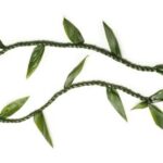 Oahu: Honolulu Airport (HNL) Traditional Lei Greeting - The Experience on Arrival