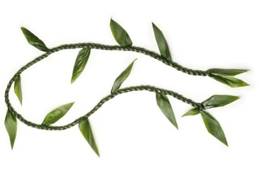 Oahu: Honolulu Airport (HNL) Traditional Lei Greeting - The Experience on Arrival