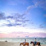 Oahu: Horseback Riding Tour on the North Shore - The Practical Details