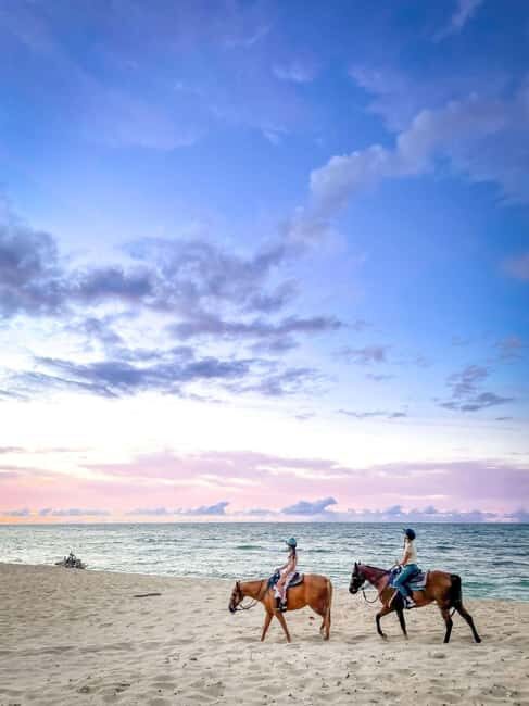 Oahu: Horseback Riding Tour on the North Shore - The Practical Details