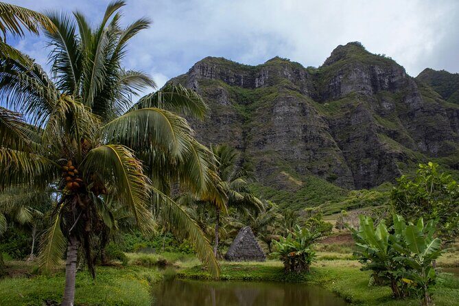 Oahu in a Day Private tour Figure 8 Adventure - Authentic Traveler Insights