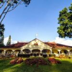 Oahu Island Full-Day Sightseeing Tour - What the Tour Really Means for You