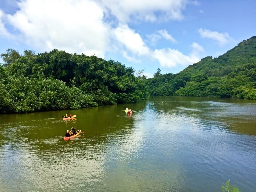 Oahu: Kahana Rainforest River 4-Hour Kayak Rental - What to Expect from Your Kayak Adventure