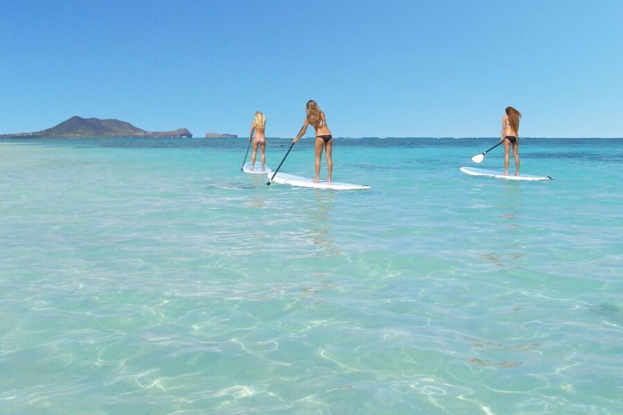 Oahu: Kailua Stand Up Paddle Board Lesson - What to Expect During the Tour