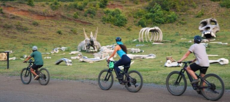 Oahu: Kualoa Electric Bike Tour - The Authenticity Behind the Photos: What the Reviews Say