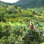 Oahu: Kualoa Jurassic Valley Zipline Tour - Who Should Consider This Tour?