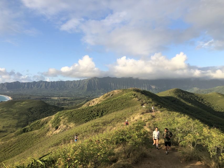 Oahu: Manoa Falls Hike and east side beach day - The Sum Up