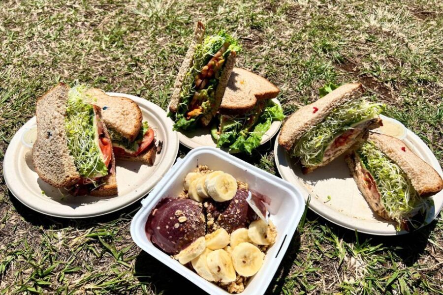 Oahu: Manoa Falls Waterfall Hike with Lunch and Transfers - The Trail Experience