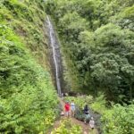 Oahu: Manoa Valley Private Hiking Trip & Waterfall - What’s Not Included