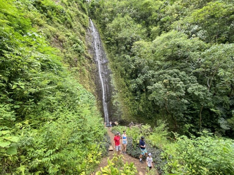 Oahu: Manoa Valley Private Hiking Trip & Waterfall - What’s Not Included