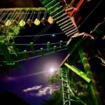 Oahu: Night Ninja Adventure Course - The Atmosphere and Experience