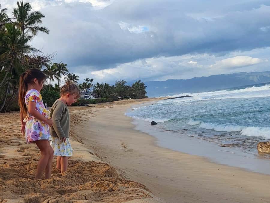 Oahu: North Shore Beaches, Turtles, and Dole Plantation Tour - The Experience in Detail
