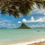 Oahu: North Shore Circle Island Small-Group Tour - The Downsides and Considerations