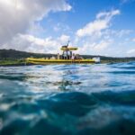 Oahu: North Shore Marine Life Tour from Haleiwa - The Experience in Detail