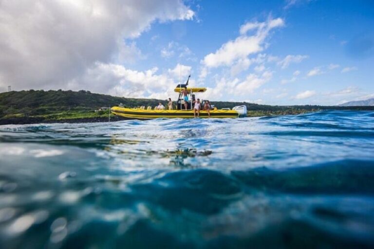 Oahu: North Shore Marine Life Tour from Haleiwa - The Experience in Detail