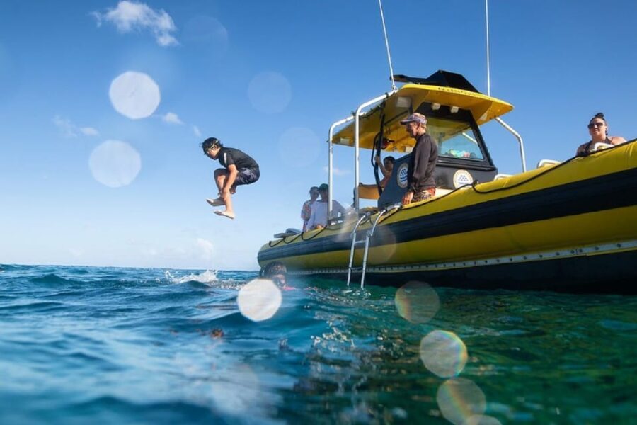Oahu: North Shore Snorkeling Tour from Haleiwa - The Itinerary in Detail