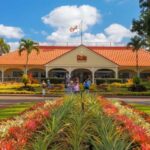 Oahu: Oahu Ultimate Grand Circle Island Tour - Practical Considerations and Downsides