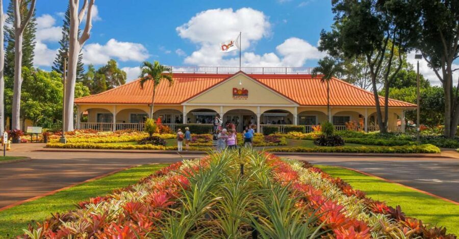 Oahu: Oahu Ultimate Grand Circle Island Tour - Practical Considerations and Downsides