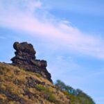 Oahu Off the Beaten Path Small-Group Tour from Honolulu - FAQ