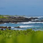 Oahu: Private Tour-Circle Island-Customizable - Itinerary Breakdown: What You’ll See and Why It Matters