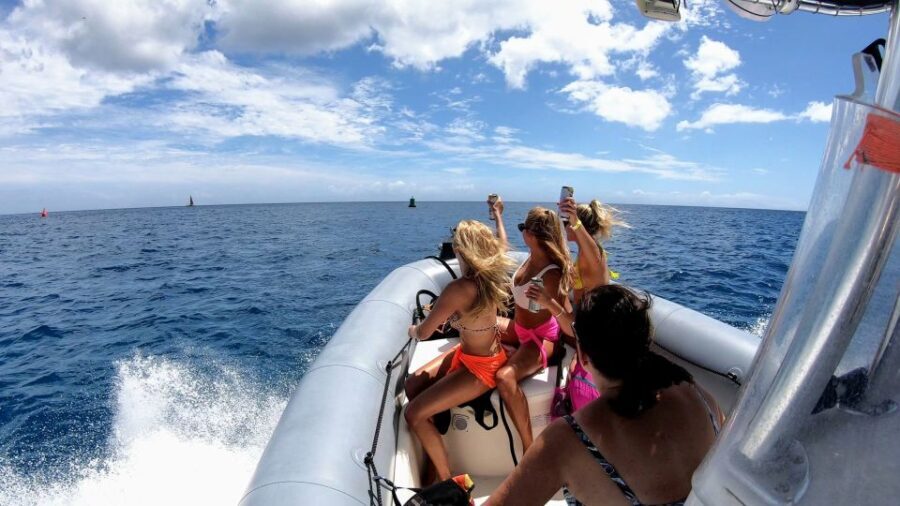 Oahu: Private Whale Watching Adventure - Why Choose This Private Whale Watching Tour?
