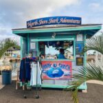 Oahu: Shark Cage Dive on the North Shore - The Experience Itself: Real Traveler Insights