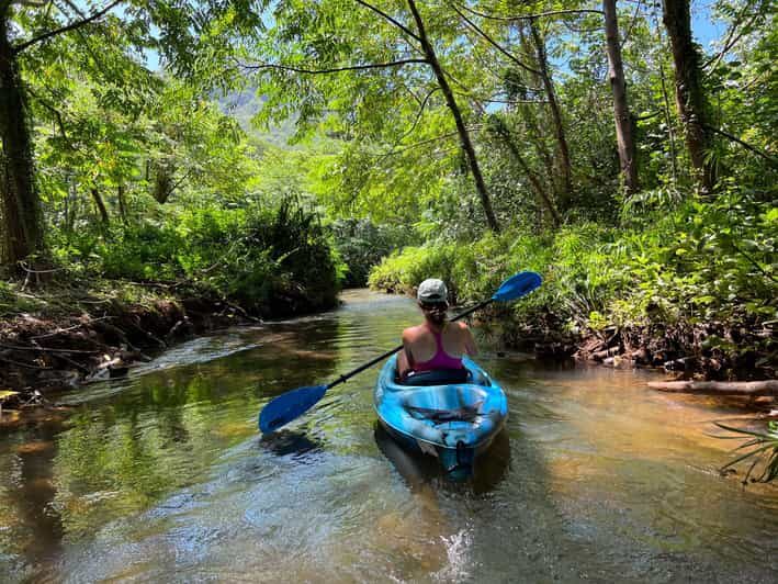 Oahu: Single & Double Kayak 3-Hour River Rental - What Makes This Tour Special?