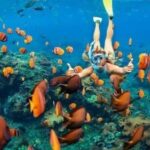 Oahu: Snorkel Adventure in Marine Sanctuary - Who Should Consider This Tour?