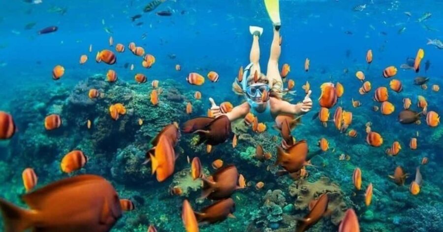 Oahu: Snorkel Adventure in Marine Sanctuary - Who Should Consider This Tour?
