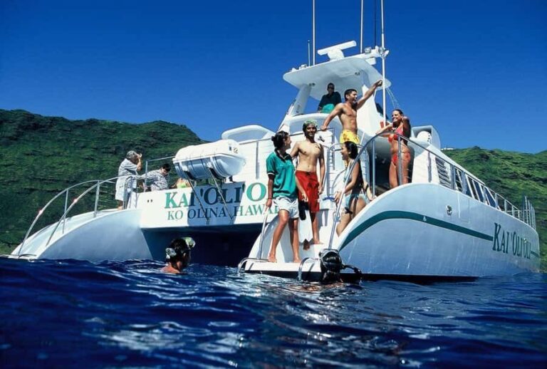 Oahu: Snorkeling & Dolphin Watch Cruise w/ Luau Style Buffet - Why Travelers Love This Tour