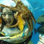 Oahu Submarine Scooter Adventure - Possible Downsides & Considerations