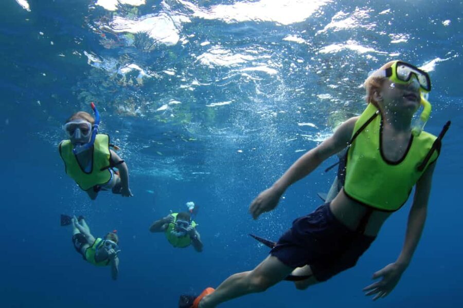 Oahu: Sunset Snorkeling, Dolphin Watch Cruise, Hawaiian meal - Who Will Love This Tour?