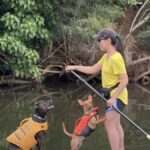 Oahu: SUPDog Experience - Paddle Board with Rescue Dogs - Is It Worth the Price?