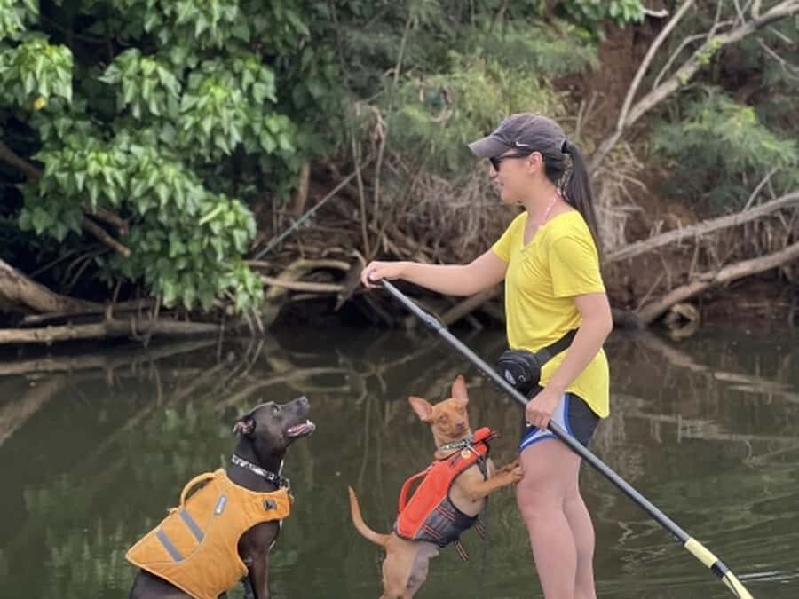 Oahu: SUPDog Experience - Paddle Board with Rescue Dogs - Is It Worth the Price?