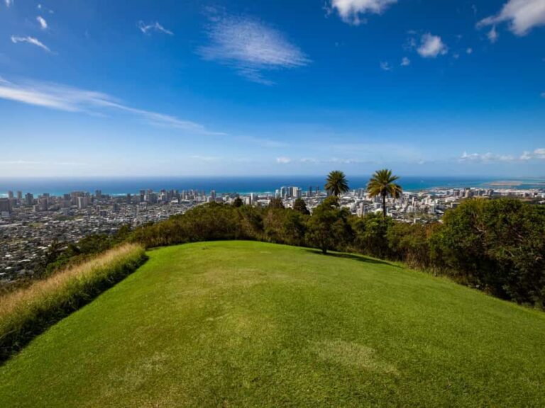 Oahu: The Ultimate Private Circle Island Tour 5-7 Guests - Why You Might Choose This Tour