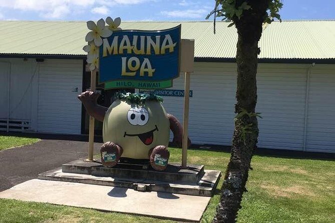 Oahu to Big Island : Big Island Volcano Helicopter Tour & Hilo 1 Day Tour - Who Should Consider This Tour?