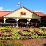 oahu VIP circle island tour,Private & LUXURY,northshore,sunset - What the Tour Offers