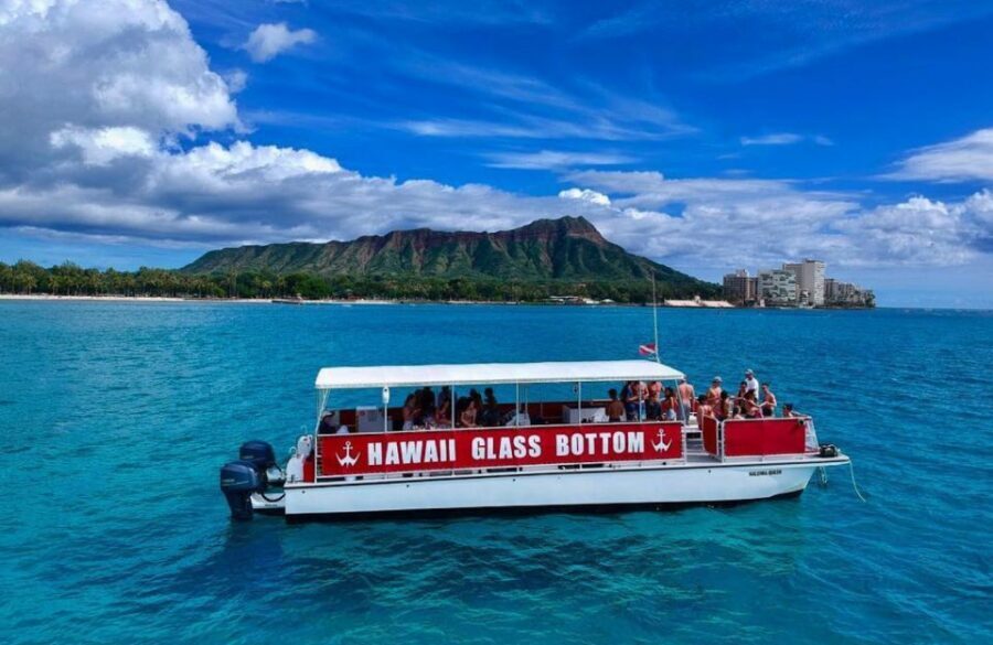 Oahu: Waikiki Glass Bottom Boat Sunset Cruise - What You’ll Experience