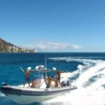 Oahu: Waikiki Private Snorkeling and Wildlife Boat Tour - What You Can Expect on the Water