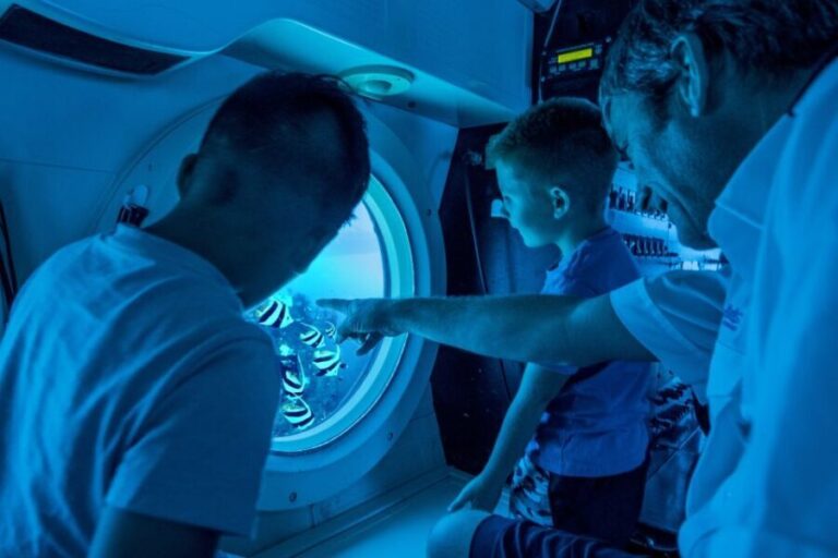 Oahu: Waikiki Submarine Tour - Final Thoughts