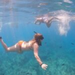 Oahu: Waikiki Turtle Snorkeling Adventure Cruise - The Value of This Tour
