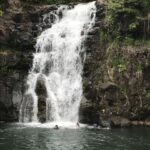 Oahu: Waimea Falls & valley & North Shore day - A Detailed Look at the Oahu North Shore & Waimea Falls Day Tour