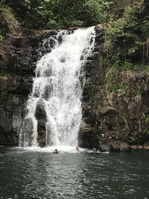 Oahu: Waimea Falls & valley & North Shore day - A Detailed Look at the Oahu North Shore & Waimea Falls Day Tour